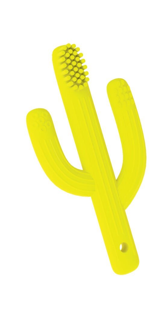 Kart��ek na �i�t�n� zub� kaktus 6+ �lut�